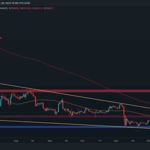 Bitcoin Bottom Signals Start Flashing But is Another Leg Down Coming Before That? (BTC Price Analysis)