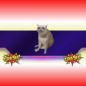 CASHCAT Plummets 65% in a Week: The Doom of Another Meme Coin or New Pump Loading?
