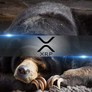 Four in a Row: Will XRP Buck Its Bearish August Streak?