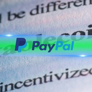 PayPal Betting Big on Stablecoins After Disclosing Q2 Results