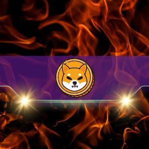 Shiba Inu Turns 6: Here’s How Many SHIB Tokens Were Burned in July