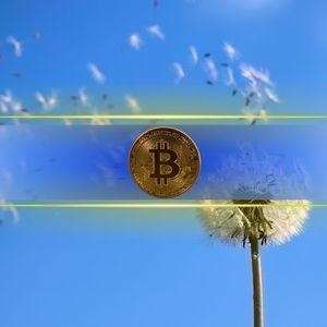 Bitcoin Holds Key Support as On-Chain Data Shows Fresh Accumulation
