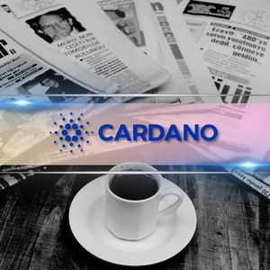Important Cardano News and ADA Price Update: August 5th