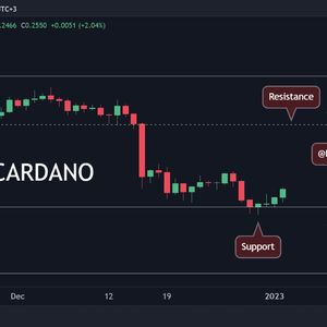 Cardano Spikes 4% in a Day, but Is The Worst Over? (ADA Price Analysis)