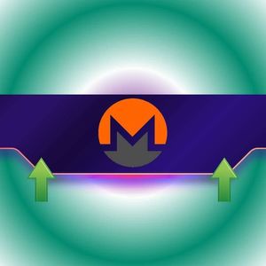 Monero (XMR) Capai Puncak 7 Bulan: Apa yang Terjadi dan Apa Selanjutnya?