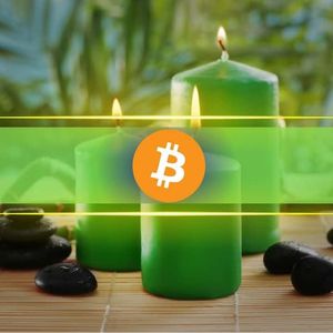 Bitcoin Makes History With First-Ever Green August During a Bear Market