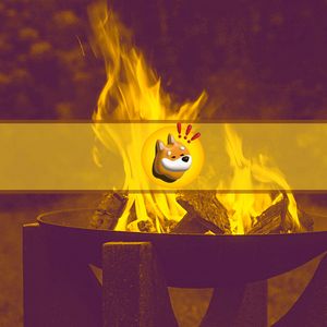 Devs of Bonk Inu Burned All Their Initially Allocated Tokens