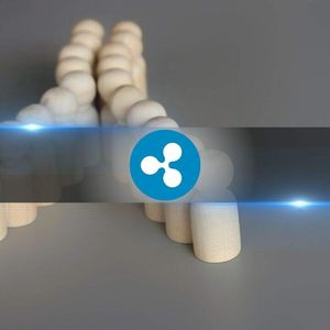 XRP’s 70% Breakout Had a Warning Sign: 85 Millionaire Wallets Moved First