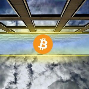 Institutions Watched Bitcoin Fall 50%: Yet None of 15 Bitwise Surveyed Investors Cut Exposure