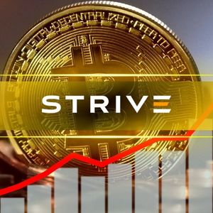 Strive CEO Says ASST Can Outrun Strategy in the Next Bitcoin Bull Market