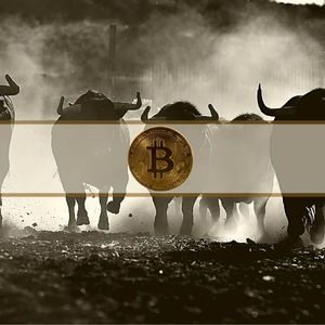 Bitcoin Price Holds Steady at $21K: 4 New Bullish Indicators