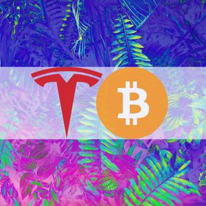 Tesla Remained a Bitcoin Hodler During Q2 of 2022