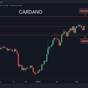 Cardano’s Bullish Momentum Stalls, is $0.36 Imminent? (ADA Price Analysis)