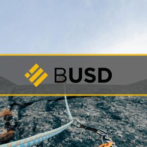 Binance USD (BUSD) Redemptions Surge to $360M as Investors Panic