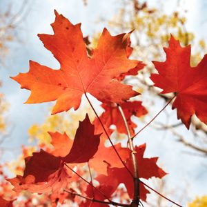 The new version of Maple Finance 2.0 intends to hasten the defaulting process