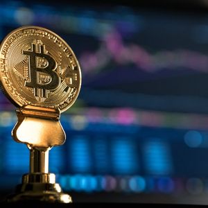 Check How the Crypto Stocks are Doing After the Recent Bitcoin Breakout