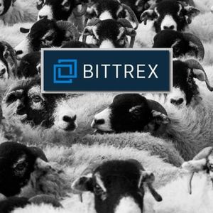 Bittrex Granted Permission to Honor Withdrawal Post-Bankruptcy