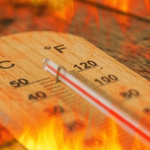 Celsius to Liquidate Altcoin Holdings to Repay Creditors
