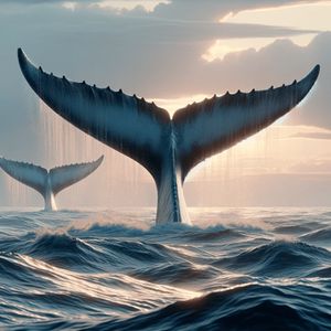 Bitcoin, USDC, and USDT whale numbers have fallen in the past six months