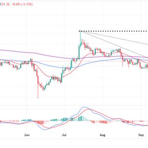 Solana Price Nosedives On US CPI Data Release, Game Over For The Bulls?