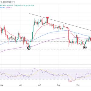 Bitcoin Price Prediction As Whales Sit On The Fence, Can $26,500 Support Hold?