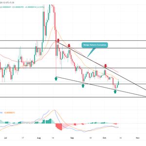 Will SHIB Price Rally to $0.00001? Reversal Pattern Hints End of Correction