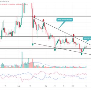 Shiba Inu Price Prediction As Reversal Pattern Signals a 25% Rally Ahead