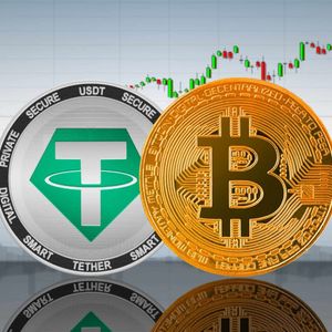 Huge USDT Accumulation By Largest Tether Wallets, Bitcoin Price Spike Soon?