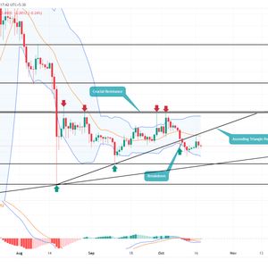 XRP Price Prediction As $0.5 Breakdown Hint Further Correction Ahead