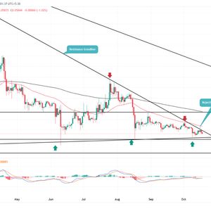 Dogecoin Price Prediction: Will $0.055 Act as a Springboard for Next Recovery?