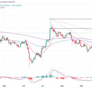 Solana Price Bulls Back In Action As SOL Hits $25