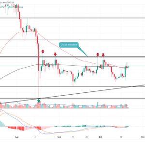 XRP Price Prediction As Bullish Pattern Sets a Rally Beyond $0.6