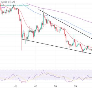MATIC Price Prediction As Polygon’s POL Smart Contracts Debut On Ethereum Mainnet