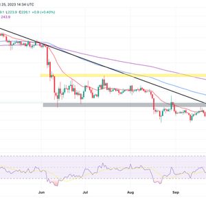 BNB Price Prediction As Binance Resumes Crypto Withdrawals – Here’s How To Stay Profitable This Week