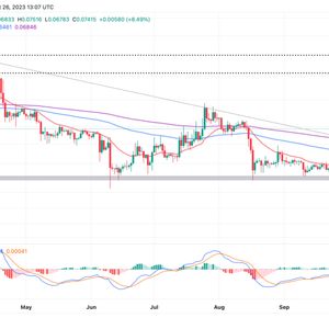 Dogecoin Price Prediction As Pepe Coin Leads Meme Coins Rally, Can DOGE Hit $0.1?