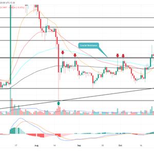 XRP Price Prediction: This Bull Trap Threatens $XRP for a New Corrective Phase