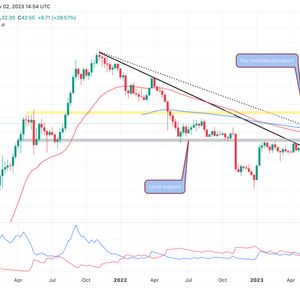 Solana Price Prediction: Is SOLGoing To $50? Here’s What You Should Know