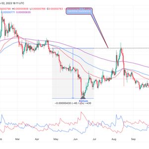 Shiba Inu Price Prediction As Whales Move Millions Of Dollars In SHIB, Will Meme Coin Rally Or Fall?