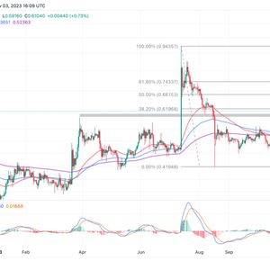 XRP Price Prediction: Can XRP Pass The First Bull Run Litmus Test And Rally To $1?