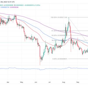 Shiba Inu Coin Price Prediction: Why SHIB Is Set For A Massive Rally This Week