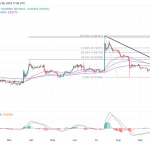 XRP Price Explodes Hitting 3-Month High As Whales Scoop The Token, What’s Next?