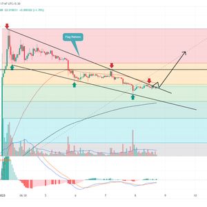 Memecoin Price Prediction Hints at a 65% Rise–Here’s Why