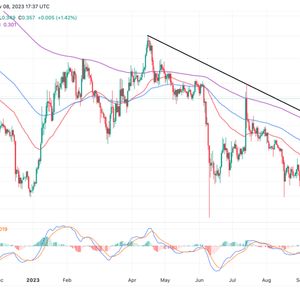 Cardano Price Prediction: Can ADA Hit $1 Bolstered By The Midnight Airdrop?
