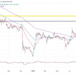 Solana Price Skyrockets 130% In 30 Days Hitting 18-Month High At $50, Is SOL Rallying To $100 Next?