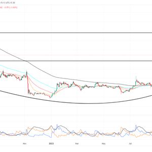 Solana Price Prediction: Has $SOL Hit Overbought After $50 Breakout?