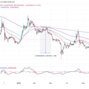 Shiba Inu Price Prediction As Traders Eye 46% Double-Bottom Breakout, Time To Buy SHIB?