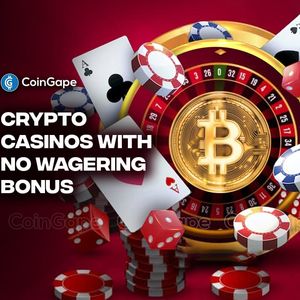 Beginners Guide to Crypto Casinos with No Wagering Bonus