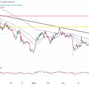 Cardano Price Surges 56% In A Month As Institutional Interest Spikes Ahead Of ADA Breakout To $0.75