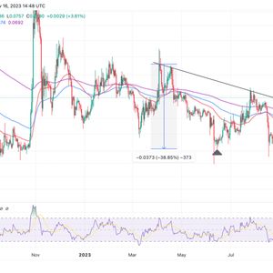 Dogecoin Price Skyrockets Eyeing $0.1 As Physical DOGE Heads To The Moon