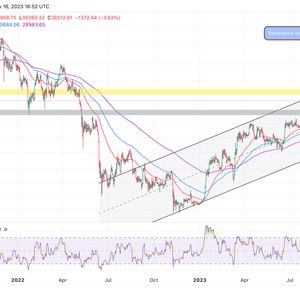 Bitcoin Price Prediction As Bull Market Intensifies Network Activity, Will BTC Hit $50k Next?